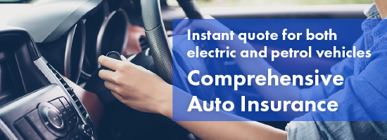 AIG Auto Insurance - 3rd Party & Comprehensive Plan